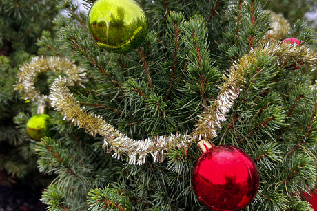 Living Tapletop Christmas Tree decorated with ornaments