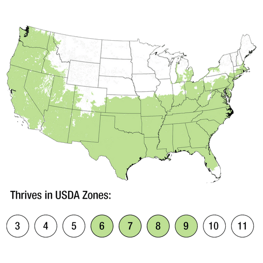 Map of USDA Zones 6-9