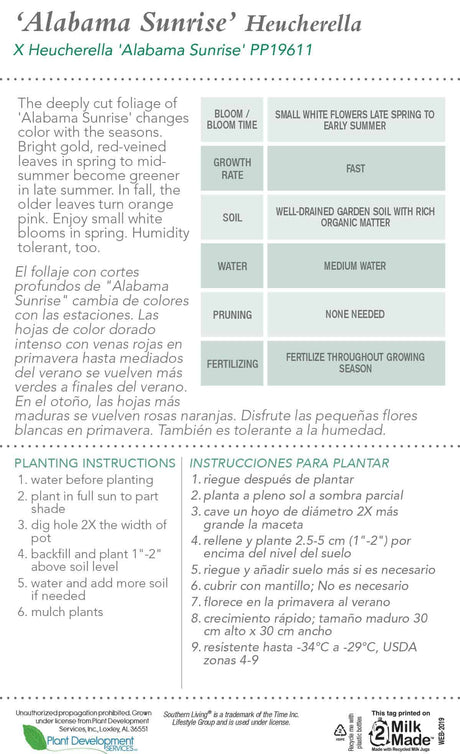 Alabama Sunrise Heucherella tag back side