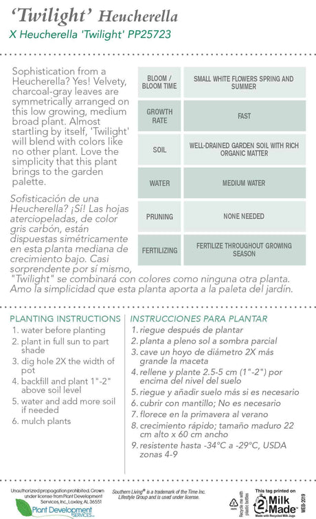 Southern Living Twilight Heucherella Tag Back