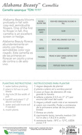 Alabama Beauty Camellia Tag Back