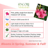 Encore Azalea Autumn Cheer fact sheet