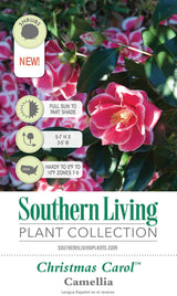 Christmas Carol Camellia Tag Front - Southern Living Plant Collection