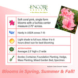 Encore Azalea Autumn Coral fact sheet