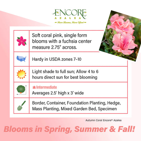 Encore Azalea Autumn Coral fact sheet