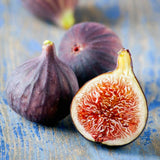 upclose 50/50 shot of edible figs from the little miss figgy