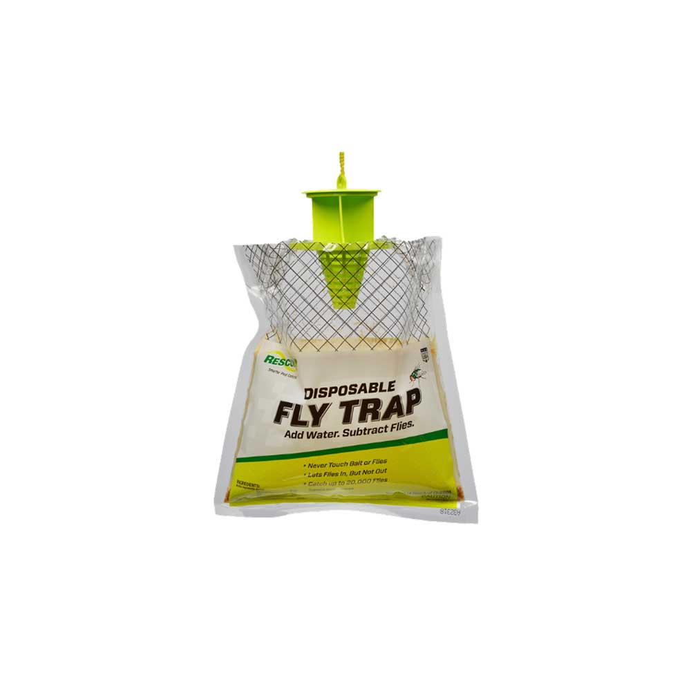 What do you put in a deals fly trap to attract flies