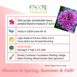 Encore Azalea Autumn Majesty fact sheet