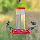 hummingbirds nectar feeder with multiple perches