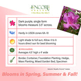 Encore Azalea Autumn Royalty fact sheet