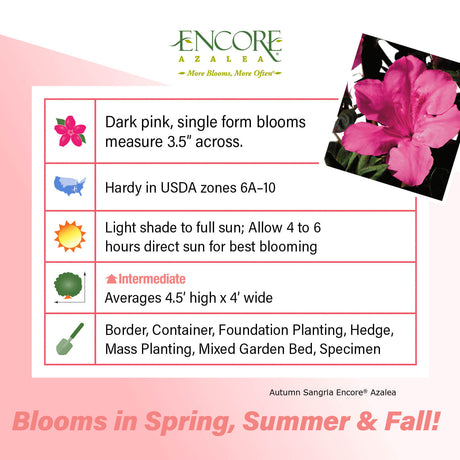 Encore Azalea Autumn Sangria fact sheet