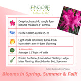 Encore Azalea Autumn Sundance fact sheet