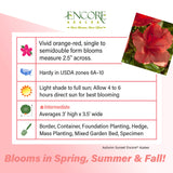 Encore Azalea Autumn Sunset fact sheet