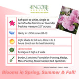 Encore Azalea Autumn Sweetheart fact sheet