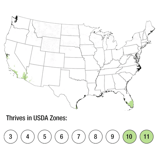 Map of USDA Zones 10-11