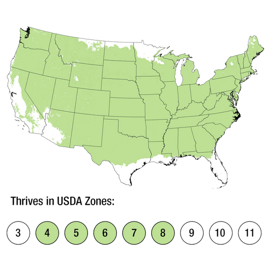 Map of USDA Zones 4-8