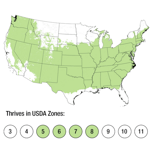 Map of USDA Zones 5-8 