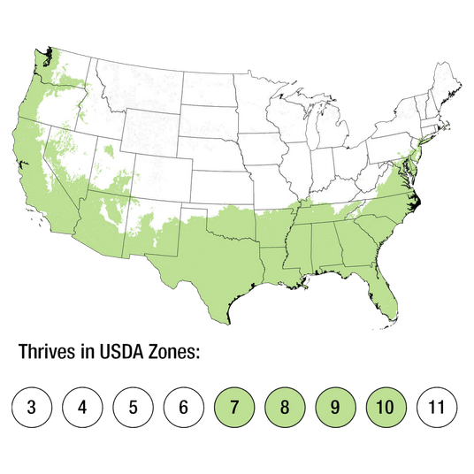 Map of USDA Zones 7-10