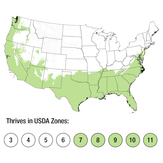 Map of USDA Zones 7-11