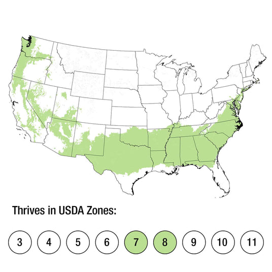 Map of USDA Zones 7-8