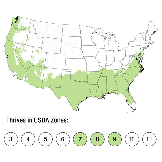 Map of USDA Zones 7-9
