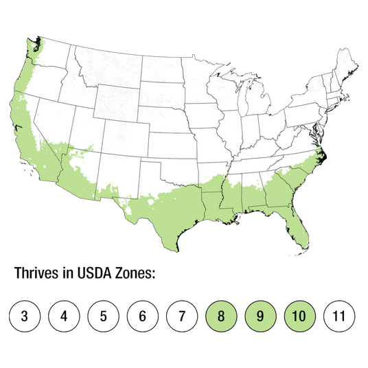 Map of USDA Zones 8-10