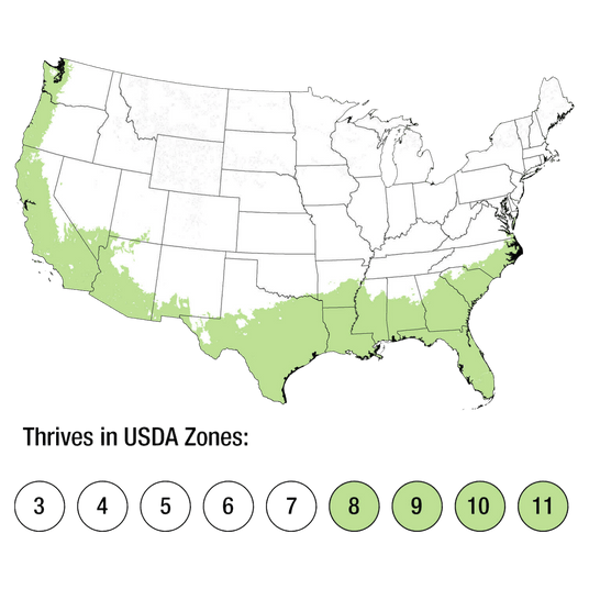 Map of USDA Zones 8-11