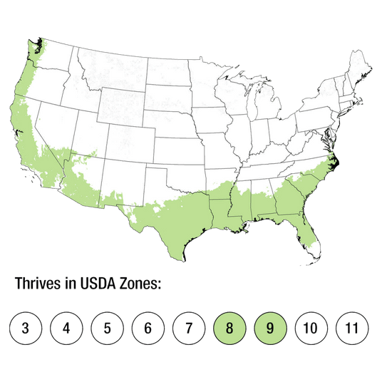 Map of USDA Zones 8-9