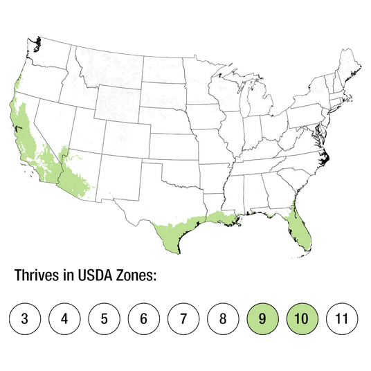 Map of USDA Zones 9-10