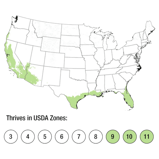 Map of USDA Zones 9-11