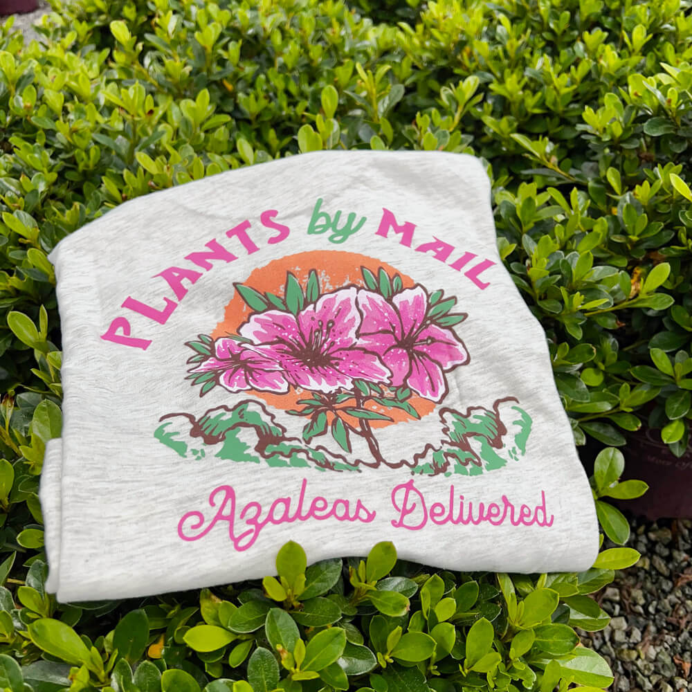 azalea tshirt on azalea foliage