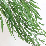 Weeping Willow Tree Foliage
