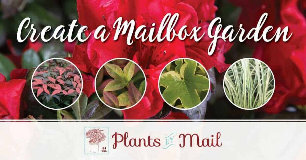 Create a Mailbox Garden