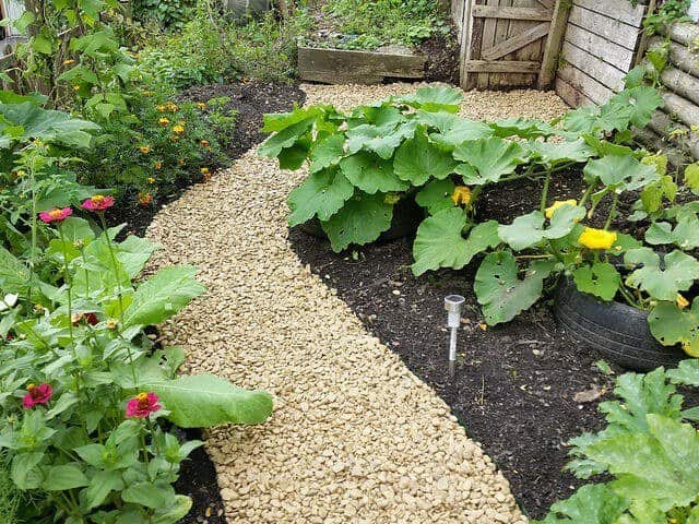 Mulching is a great idea for edging in the landscape. Here is used to define a gravel pathway in a small garden
